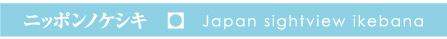 jb|mPVL@Japan sightview ikebana