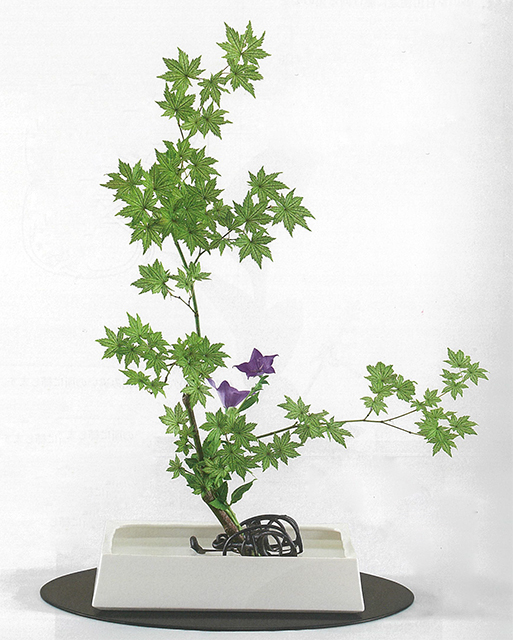 轡 花留め 美品 くつわ 嵯峨御流