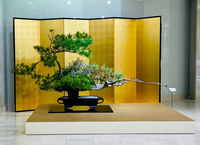 いけばなの四季 : 桑原専慶流盛花瓶花(桑原専渓 著) / 讃州堂