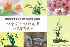 希少 絶版 嵯峨御流 瓶花 いけばなカードブック 旧嵯峨御所華道総司所編 生け花